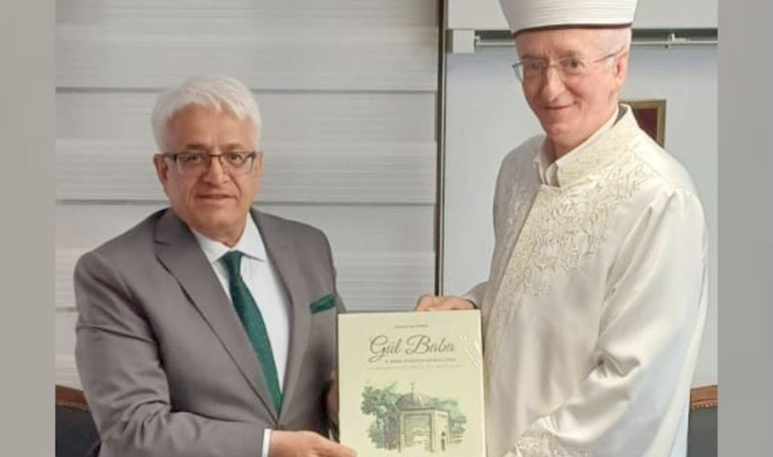 Türk İşbirliği ve Koordinasyon Ajansı (TİKA) Başkan Yardımcısı Dr. Mahmut