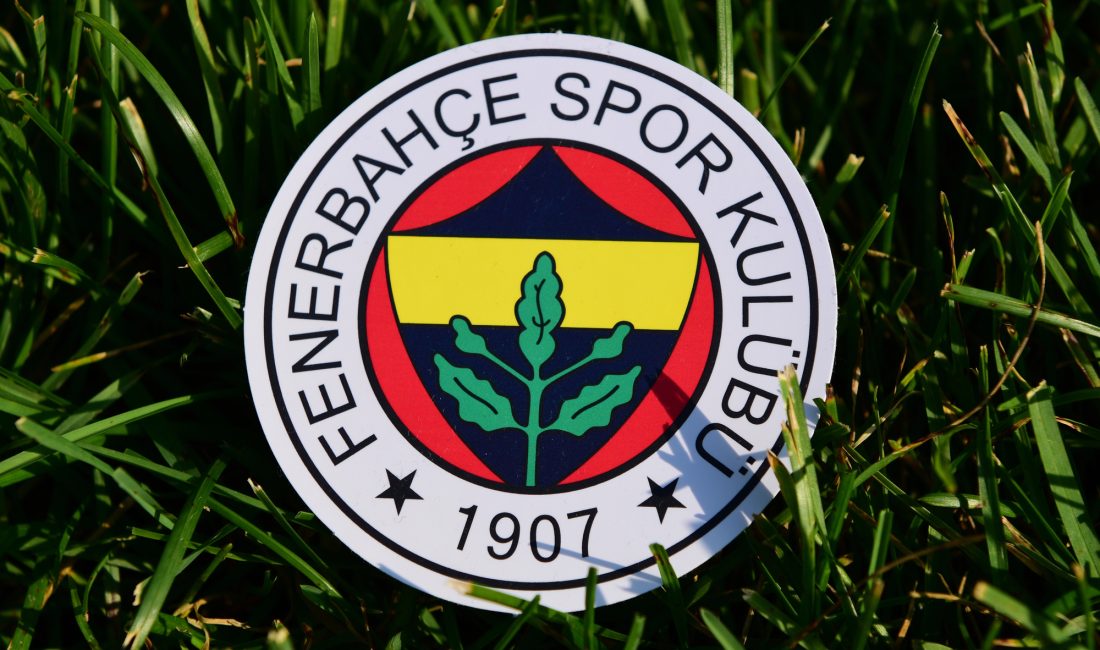 Sarı-lacivertli taraftarlar, Türkiye Futbol Federasyonu’nun (TFF) forma numaralarında “Arial” font