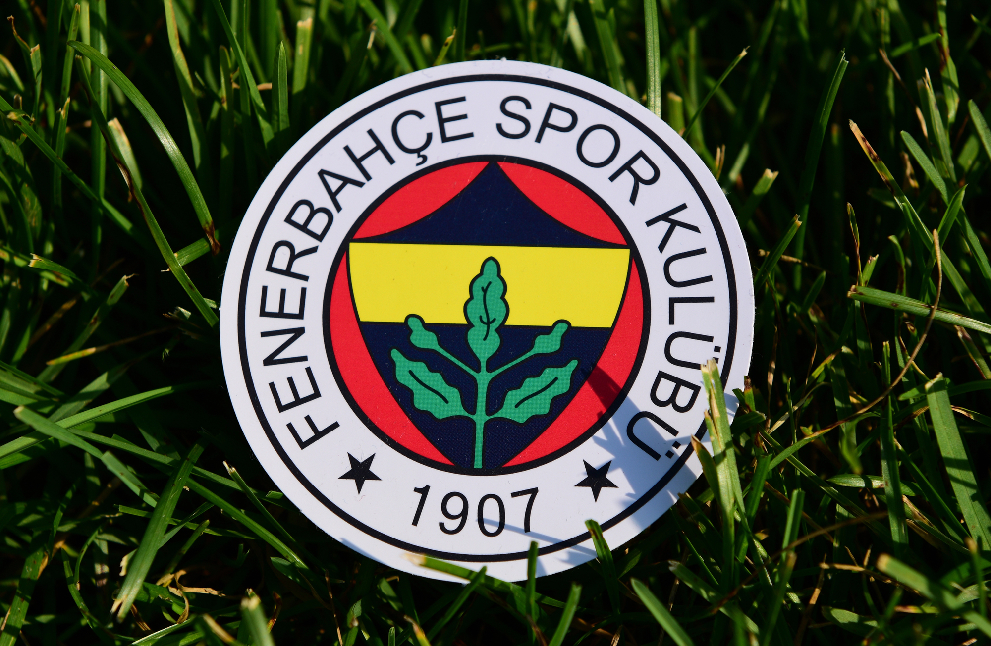 Sarı-lacivertli taraftarlar, Türkiye Futbol Federasyonu’nun (TFF) forma numaralarında “Arial” font