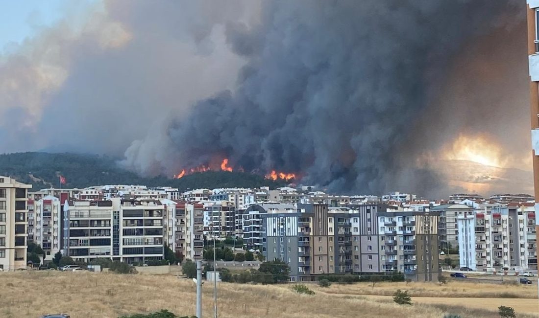 Çanakkale’nin Kepez Belediyesi sınırları içinde yer alan Dardanos Mevkii’nde, 11