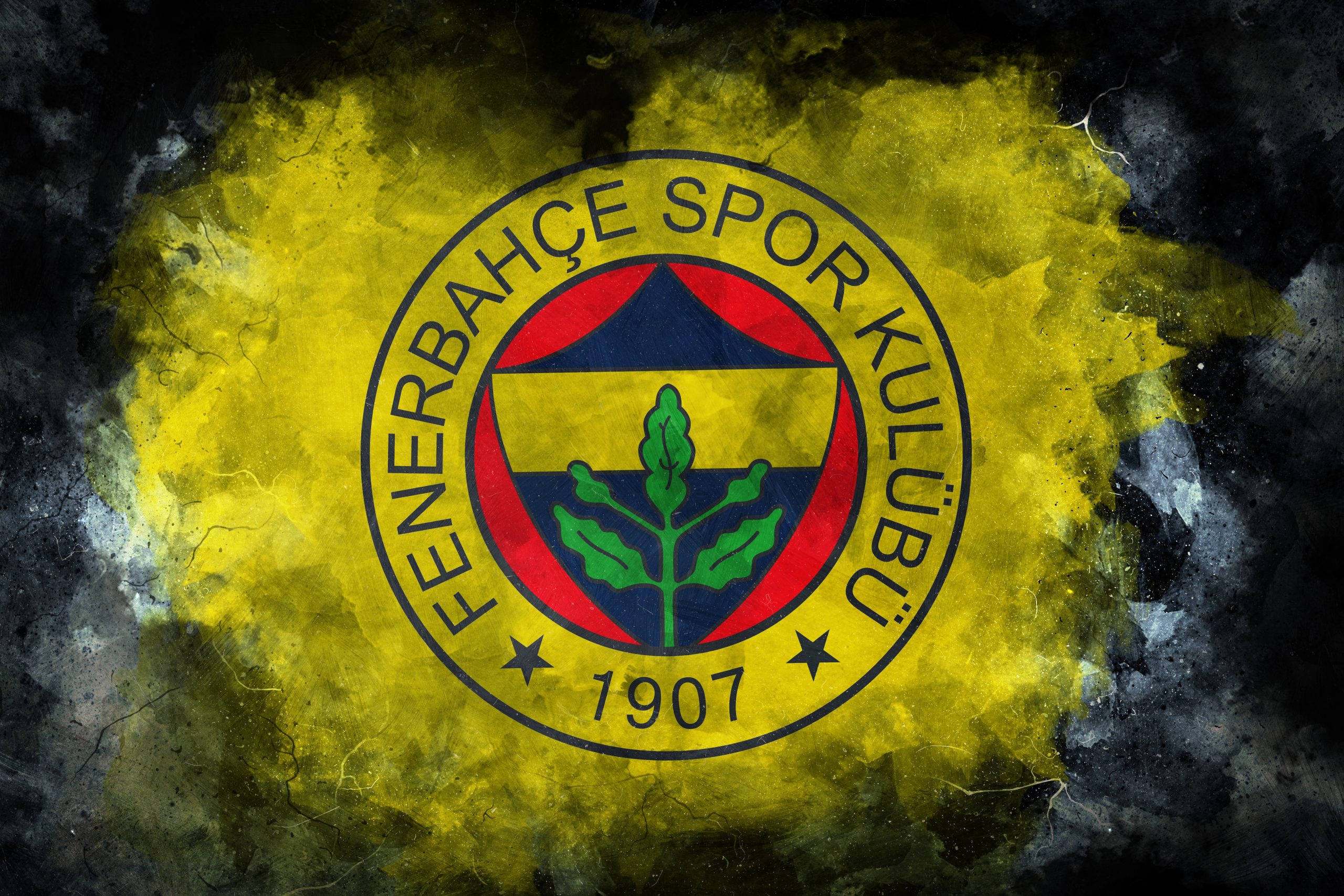 Fenerbahçe, UEFA Şampiyonlar Ligi 3. ön eleme turunda önemli bir