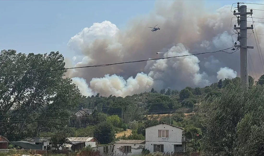 Çanakkale’nin Bayramiç ilçesinde başlayan orman yangını, bölge halkını alarma geçirdi.