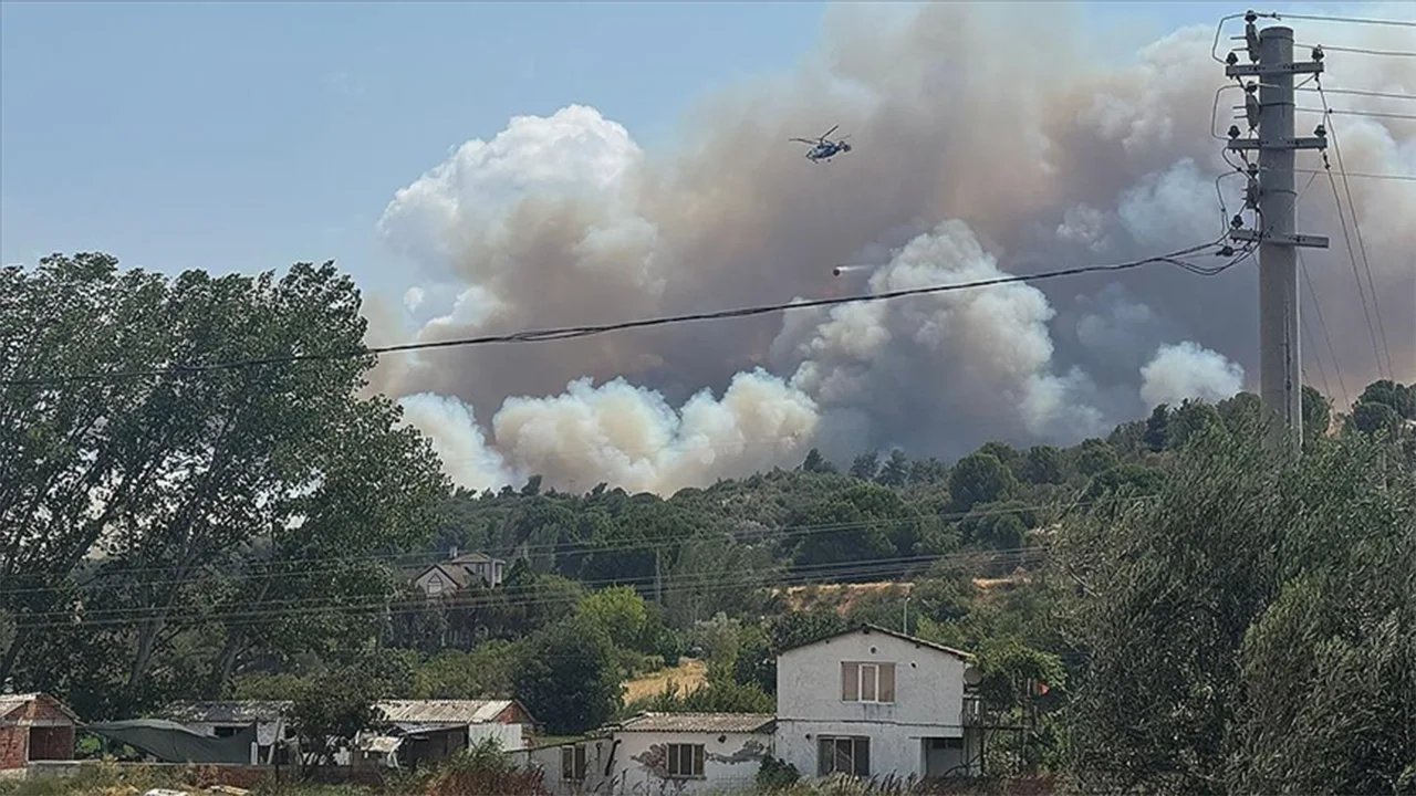 Çanakkale’nin Bayramiç ilçesinde başlayan orman yangını, bölge halkını alarma geçirdi.