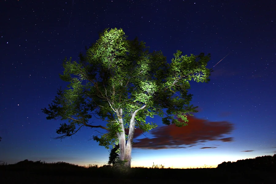 2025 yılı Perseid meteor yağmuru, yaz mevsiminin heyecan verici gökyüzü