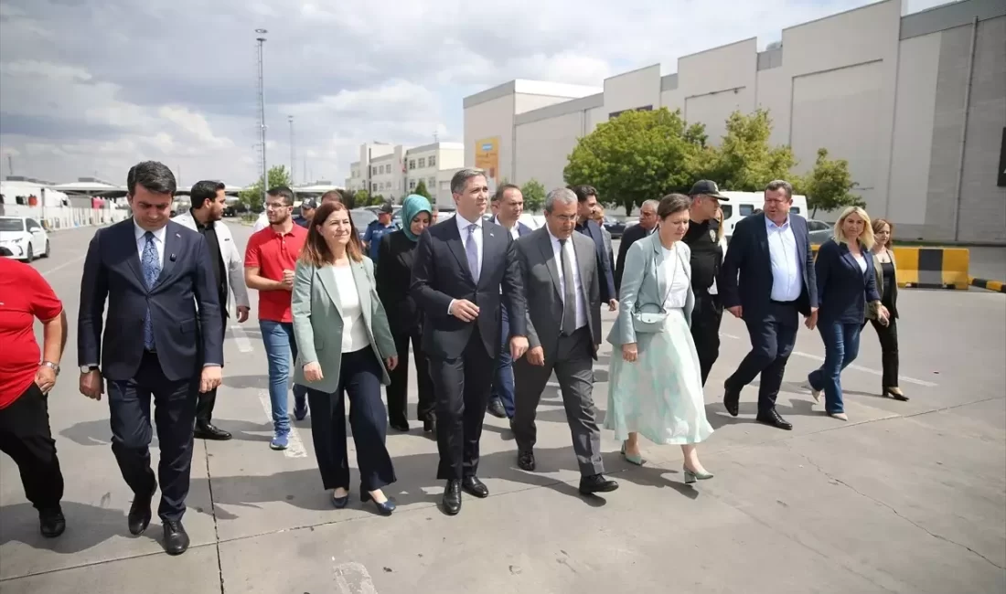 AK Parti Dış İlişkilerden Sorumlu Genel Başkan Yardımcısı ve İstanbul