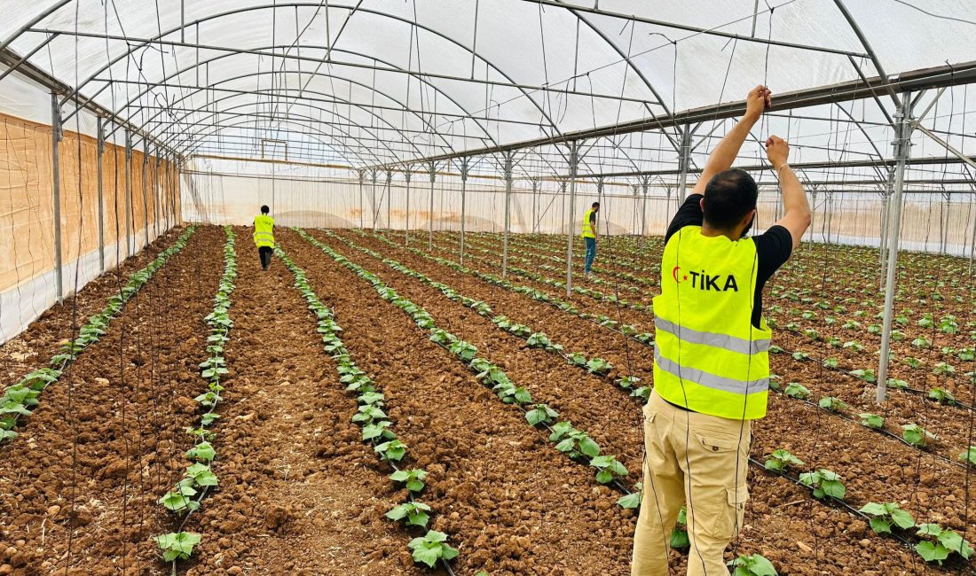 Türk İşbirliği ve Koordinasyon Ajansı (TİKA), Filistin’in Cenin kentindeki Türkmen