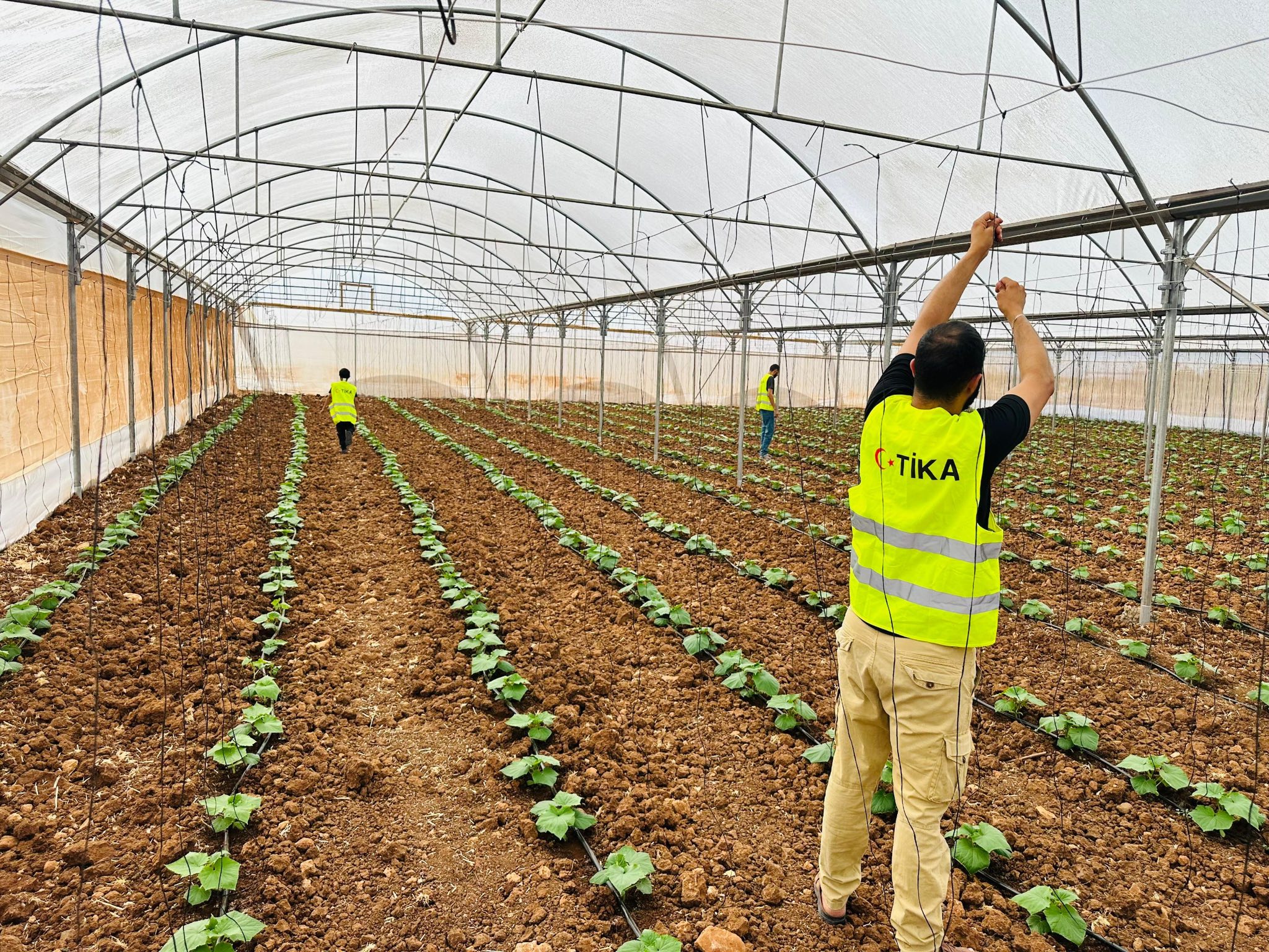 Türk İşbirliği ve Koordinasyon Ajansı (TİKA), Filistin’in Cenin kentindeki Türkmen
