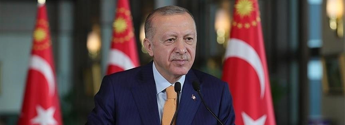 Erdoğan: Yurt dışındaki vatandaşlarımızı asla sahipsiz bırakmayız