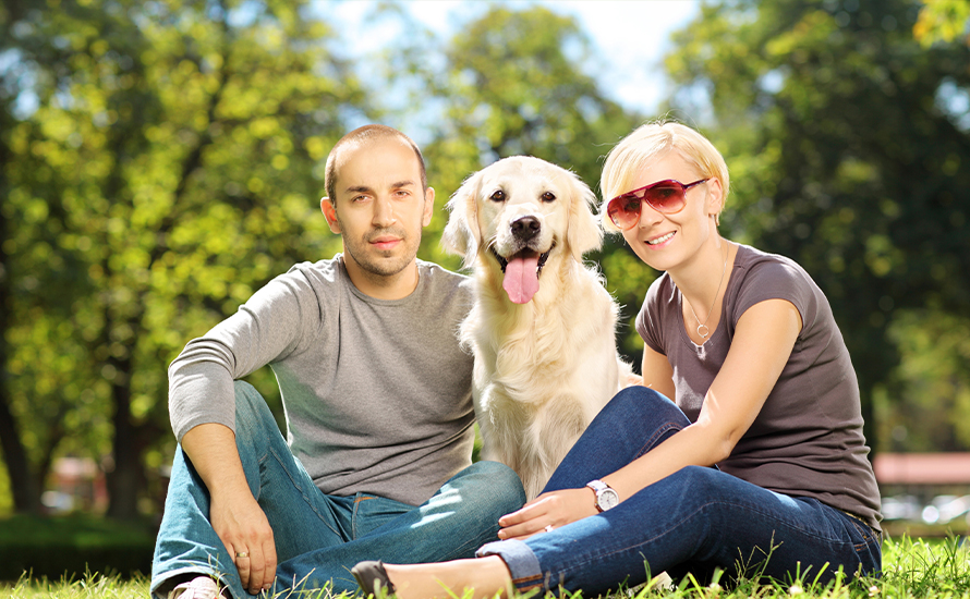 Köpek sahiplerinden rekor vergi: Gelir 440 Milyon Euro'ya yaklaşıyor